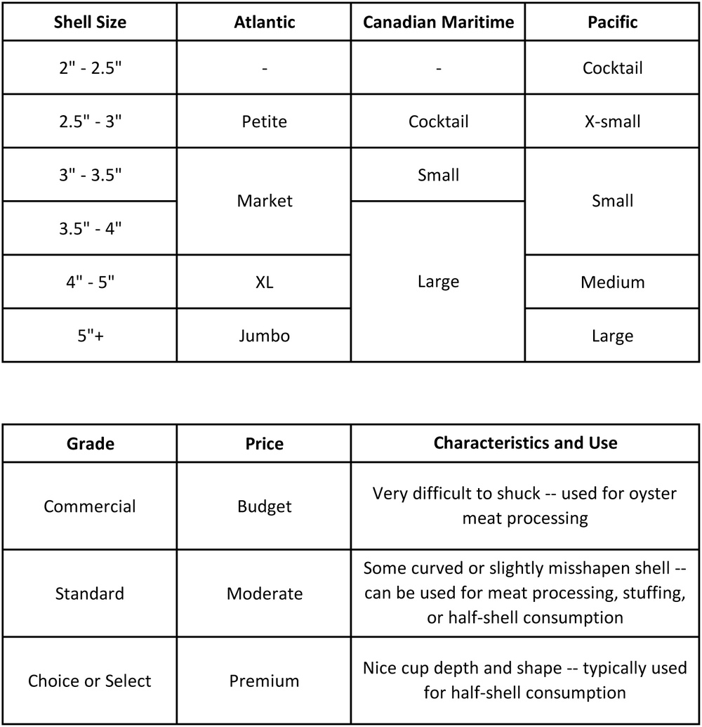 chart of oyster grades and sizes