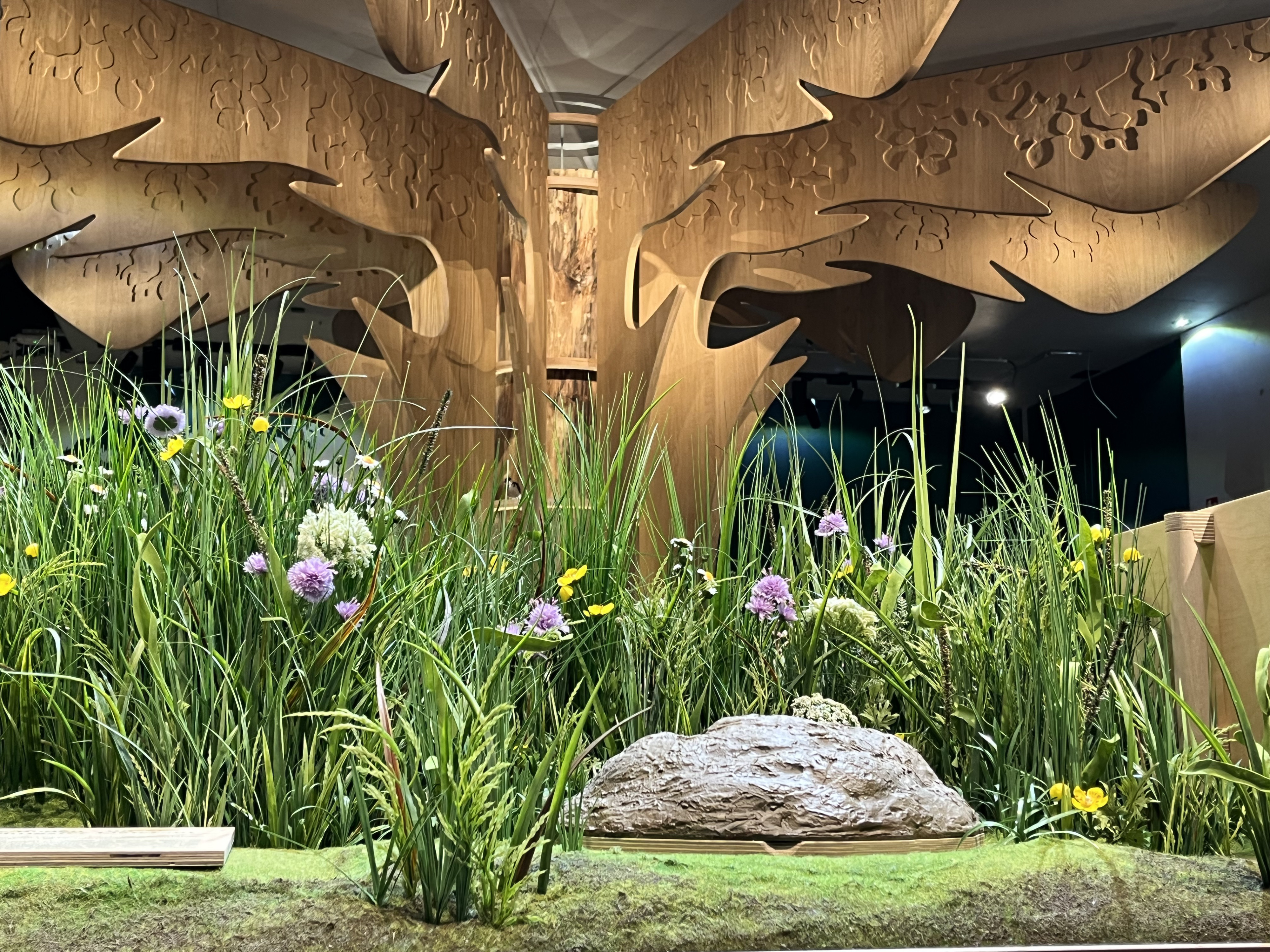 Das interaktive Museum im Besucherzentrum von Rapunzel macht „Bio“ und das Engagement von Rapunzel erlebbar.