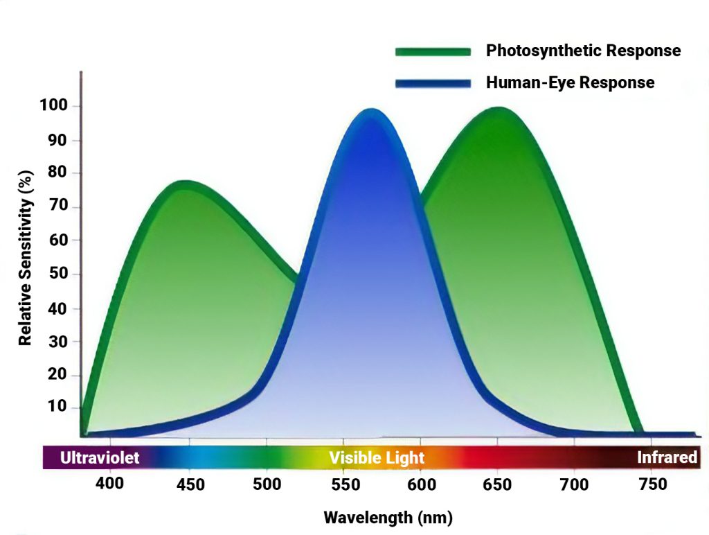 Horticulture Lighting Metrics Understand Grow Lights. Heliospectra Blog