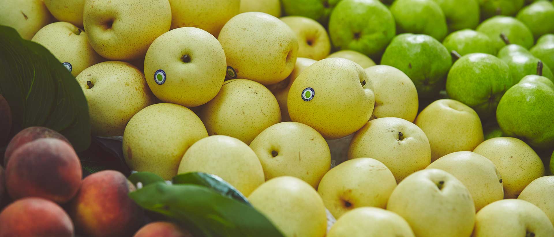 Newtown Central Shopping Centre Major Stores