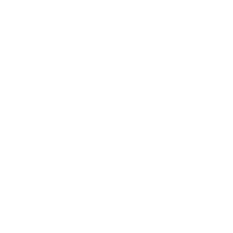 ELAUT AMUSEMENT Vist our LinkedIn