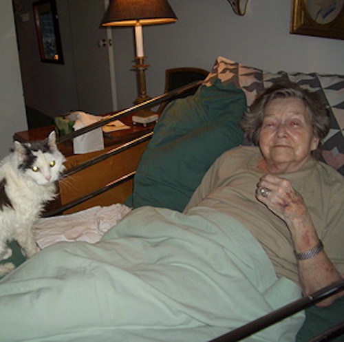 Homecare companies