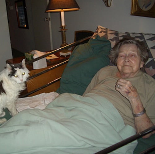 Homecare companies