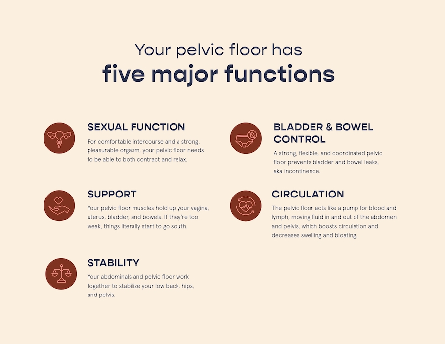 Pelvic Floor 101: Getting to know your pelvic floor | Origin