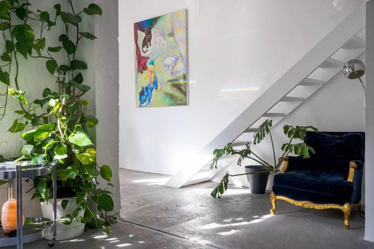 Indoor Plants Spacious