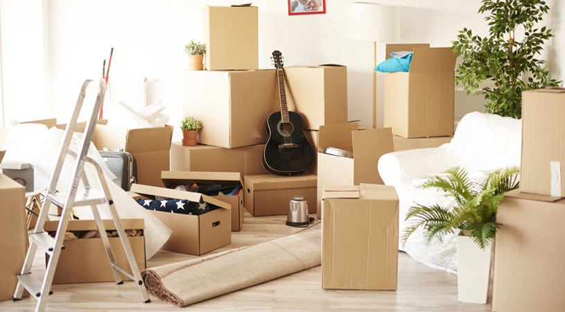 Mess Created By Cheap Removalists