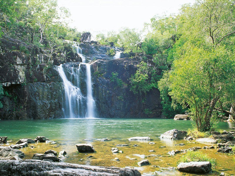 Cedar Creek Falls Brisbane Swimming Queensland Com