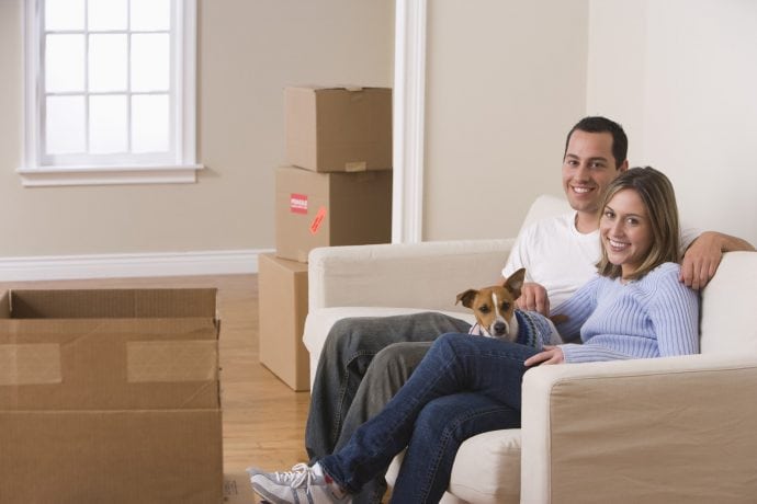 Moving with pets