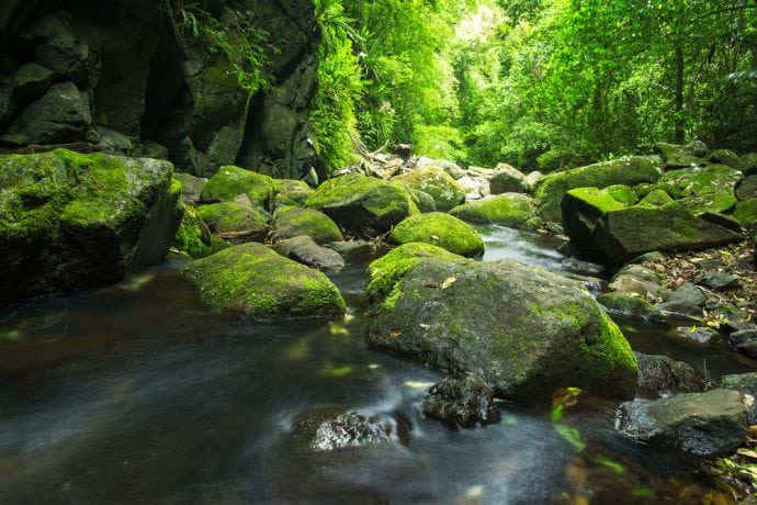 Things to do gold coast