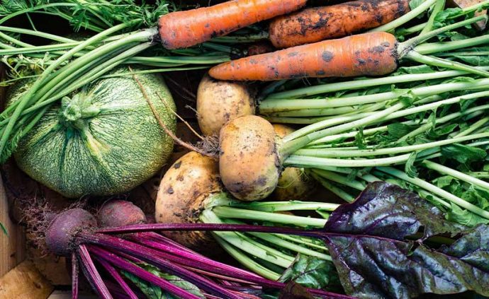 vegetables and how to make money in rural australia