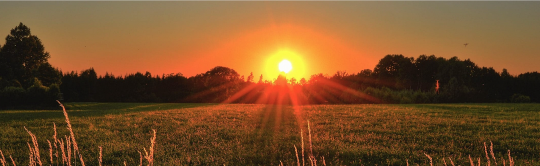 Sonne geht am Horizont über Bäumen und Wiese und symbolisiert die Solarenergie