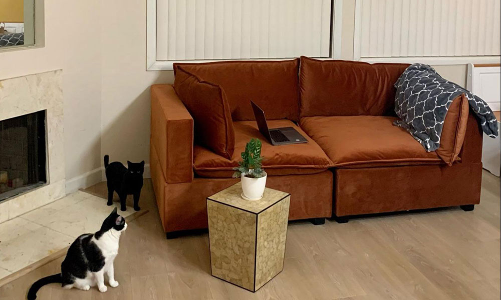 Albany Park Kova Sofa Review 2024 A Comfy, Modular Sofa That Ships in