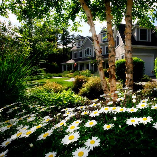 Do Gardens Increase Property Value?