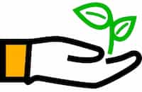 Eine geöffnete Hand mit grüner Pflanze, die die Umweltfreundlichkeit der Solarenergie symbolisieren