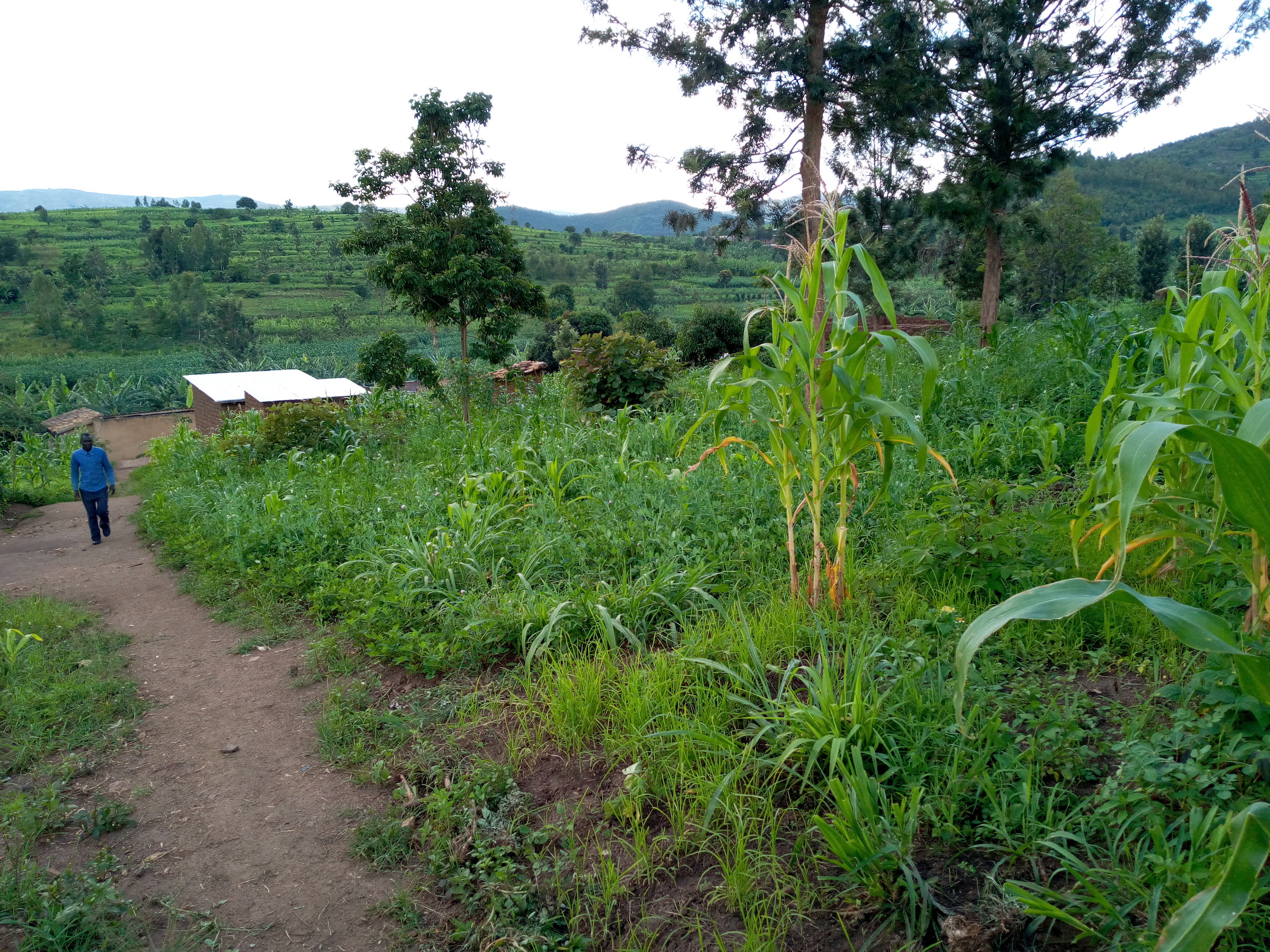 Mukuma, Rwanda