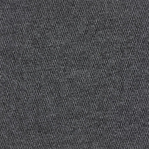 Berber Point 920 Broadloom & Carpet Tile by Belgotex
