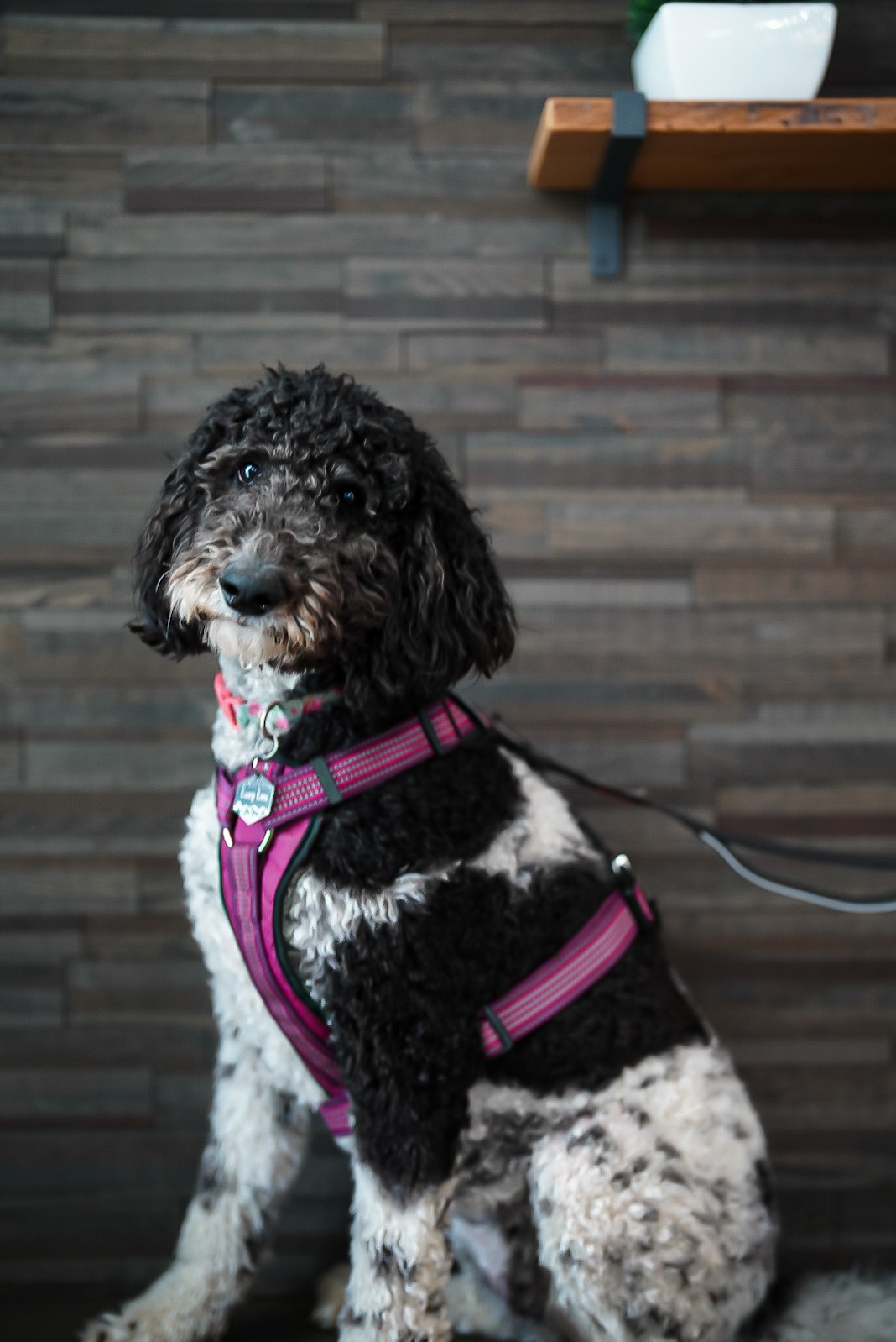 Our Team The Langford Retirement Community