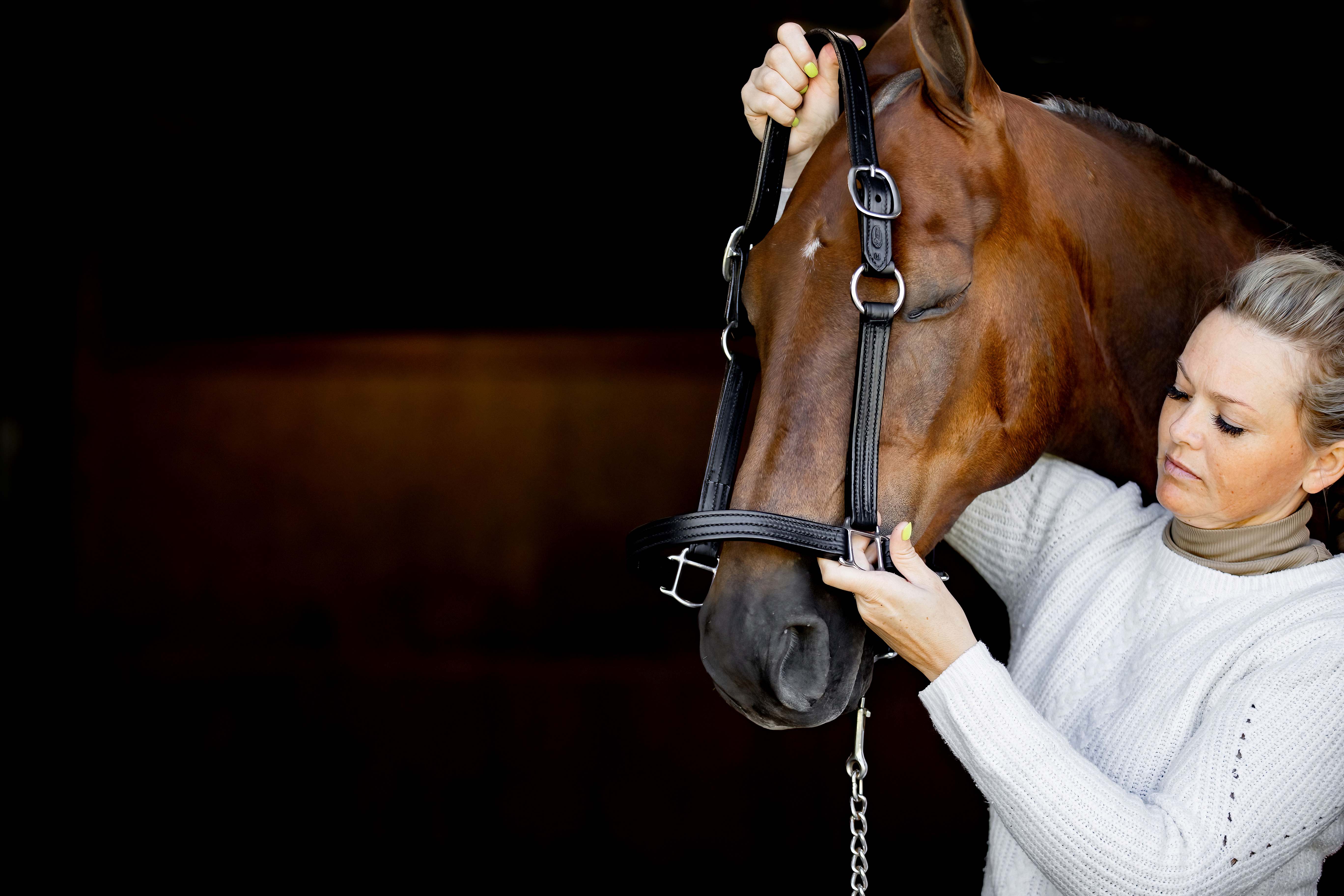 🏠 Shelby Horse Supply Equine Tack and Leather Store