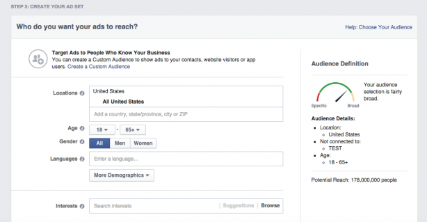 Facebook Ad Demographics Blank