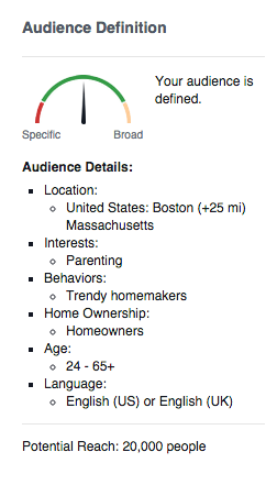 Facebook Ad Audience Definition