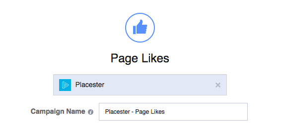 Facebook Ad Promote Your Page Campaign Name