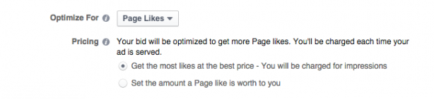 Facebook Ad Promote Your Page Optimize for Page Likes