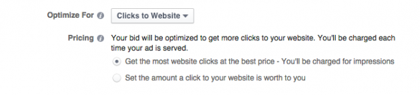 Facebook Ad Optimize for Clicks to Website