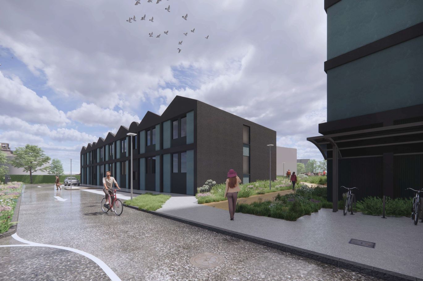 Alandale Student Limerick Lioncor