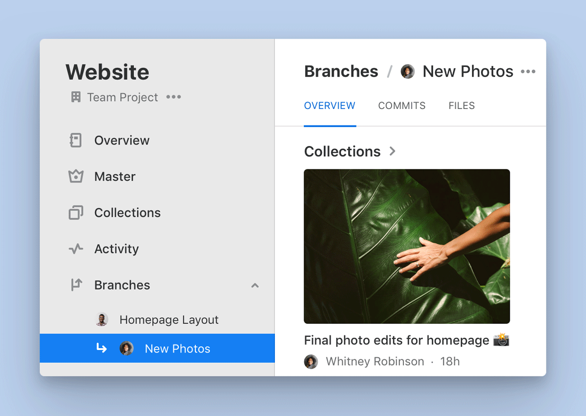 The overview of a Branch called 'New Photos' shows a Collection called 'Final photo edits for homepage'