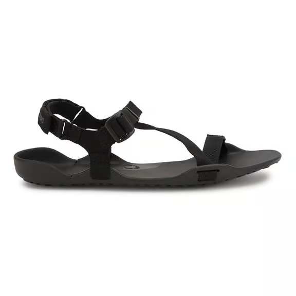 Best Barefoot Sandals Voted By The Community Golden Toe Awards 🏆