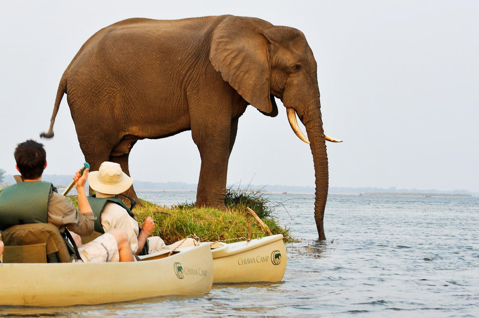 Wild Wonderful World The Safest African Safari Destinations wild-wonderful-world-the-safest-african-safari-destinations