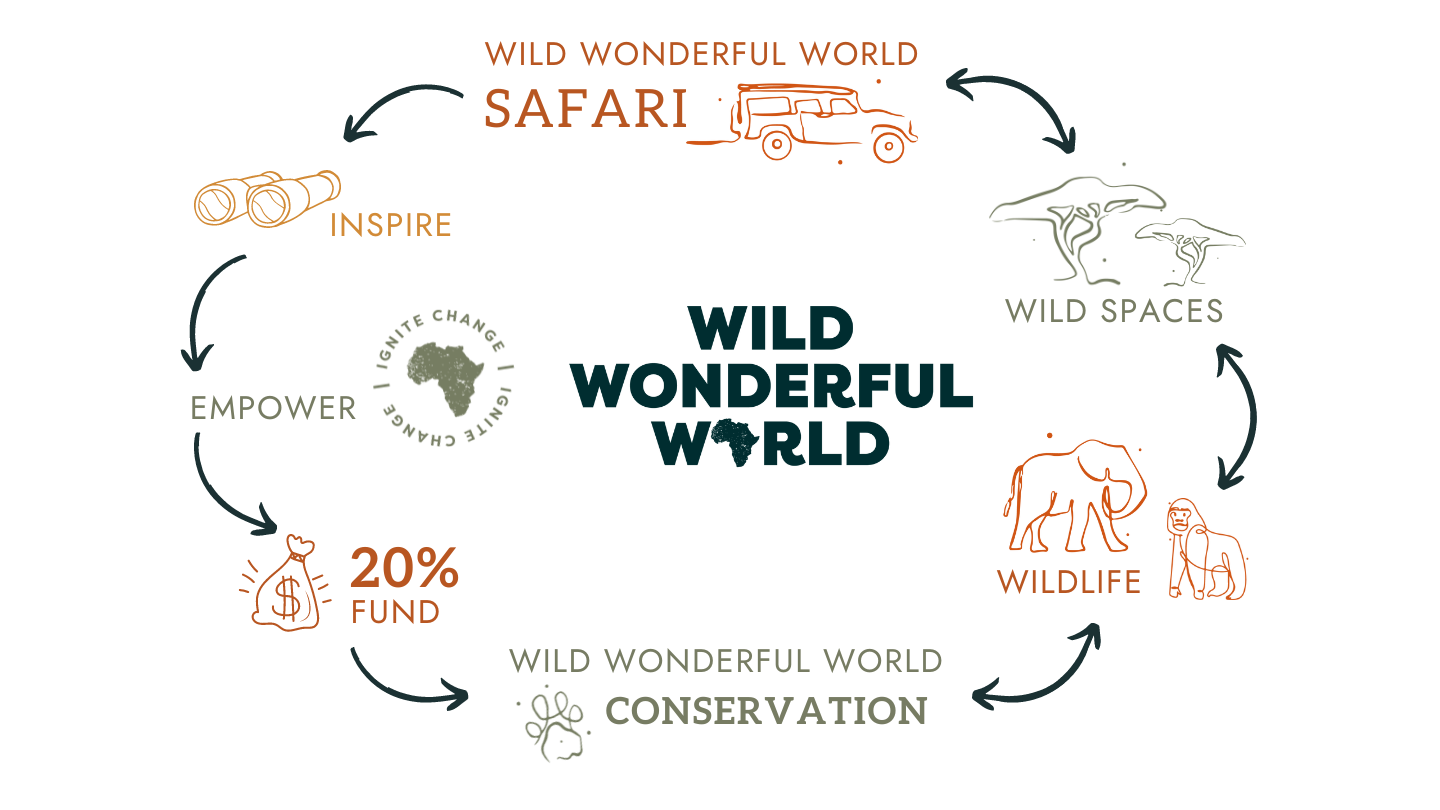 Wild Wonderful World Why are African safaris so expensive? Spilling