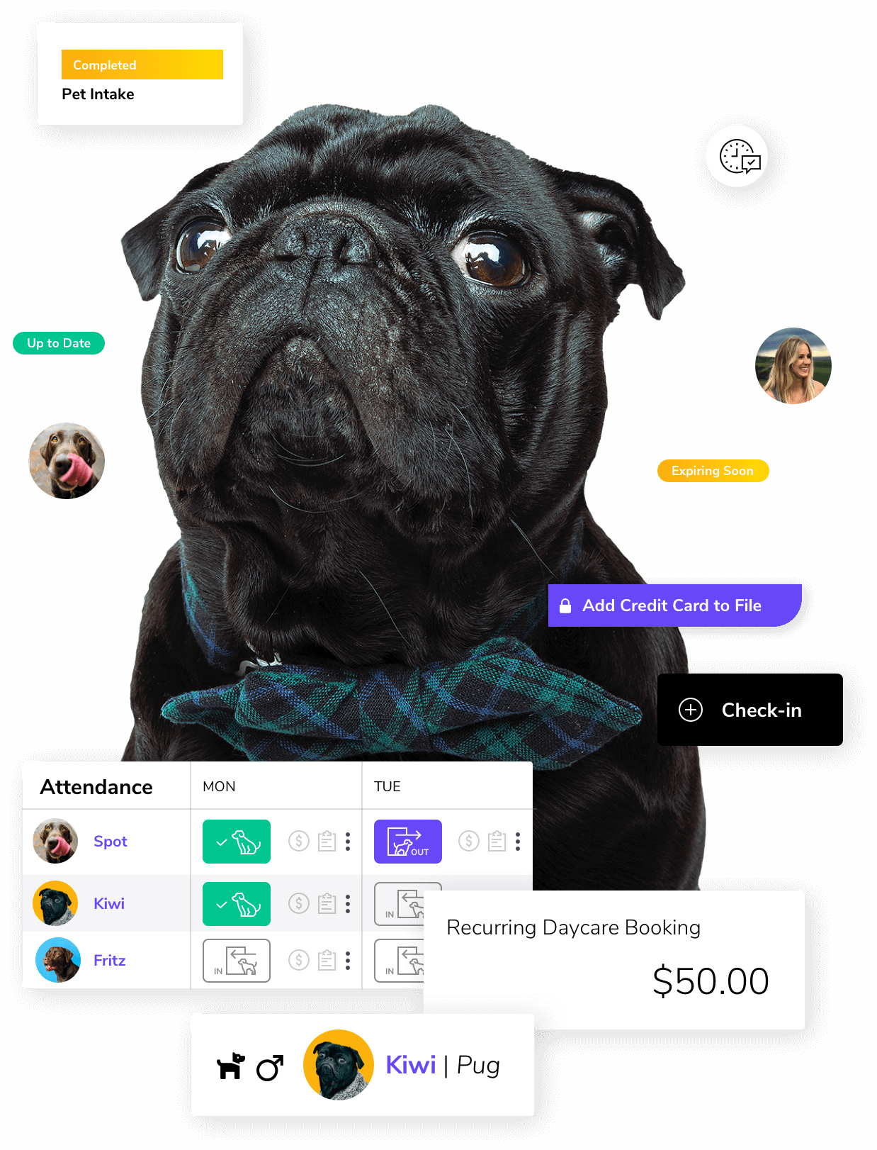 BusyPaws Booking and Payments Software for Dog Training and Daycare