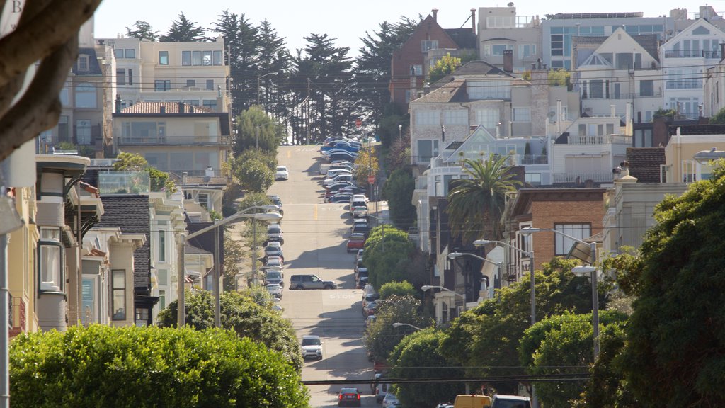 Cow Hollow Neighborhood , San Francisco