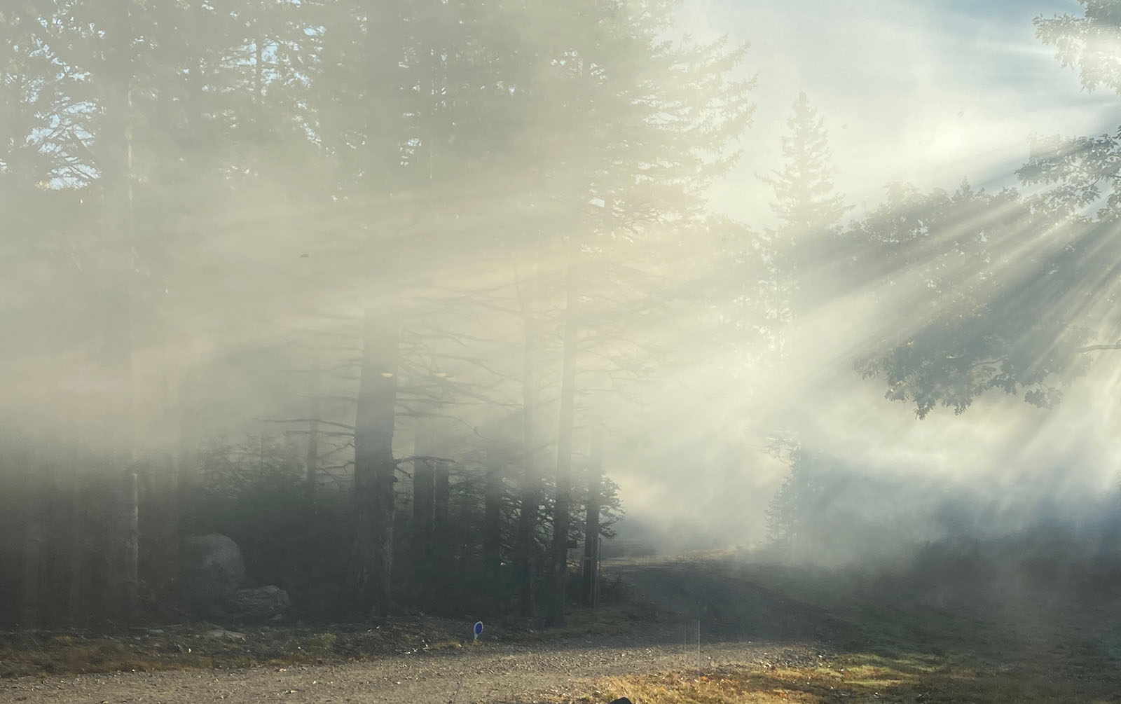 Wood smoke stories Damaged health and distress in Maine