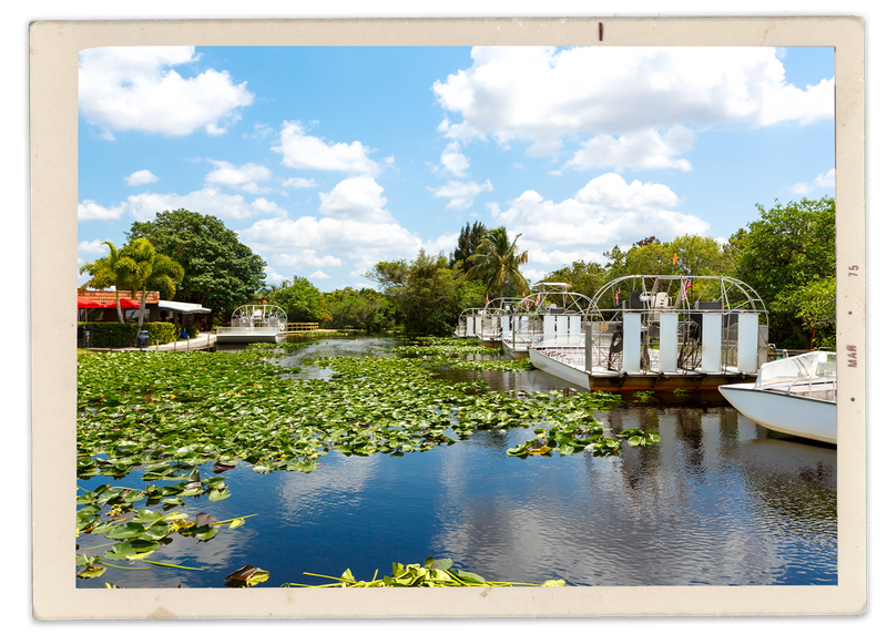Everglades Airboat Rides Tours Everglades Safari Park