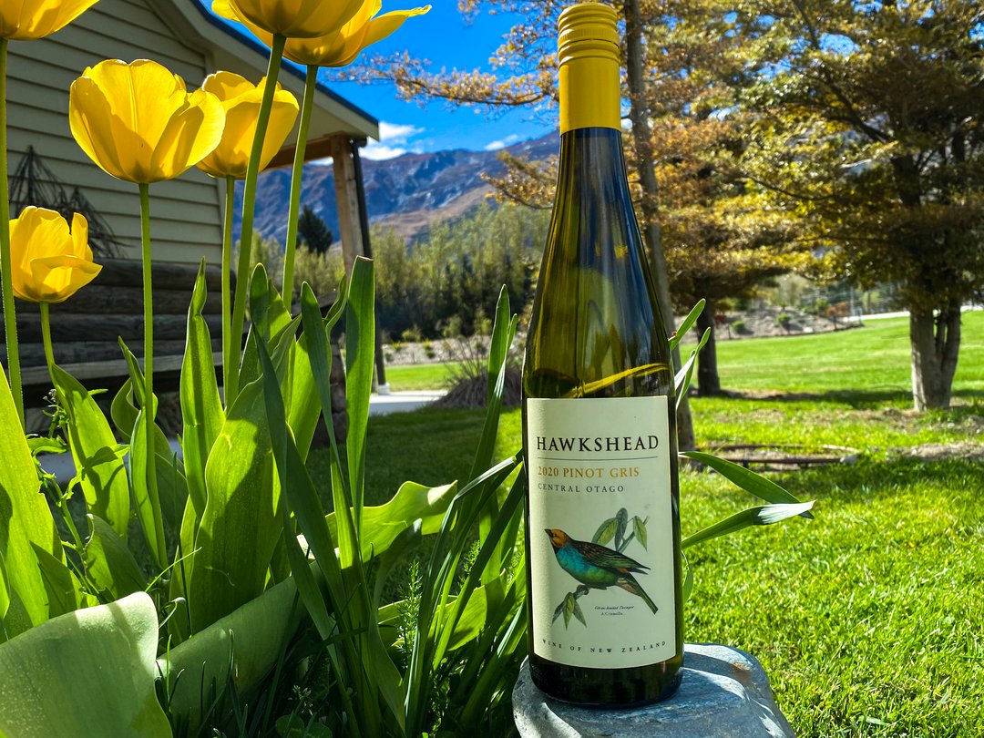 Jervois Rd Wine Bar + Kitchen