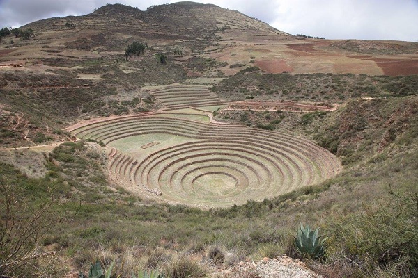 Moray