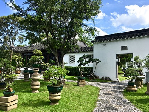 Chinese Garden