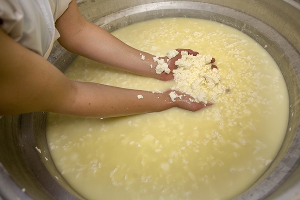 Curds and Whey