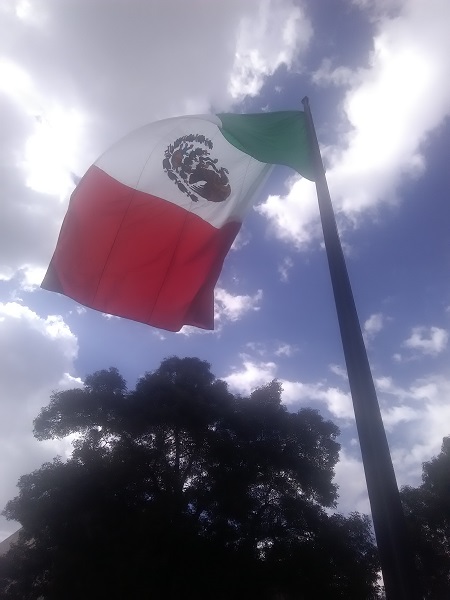 Mexican Flag