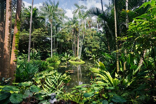 Botanic Gardens
