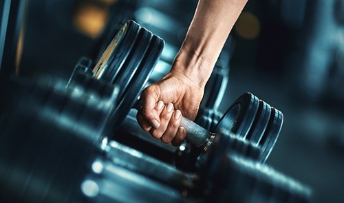 Gym Weights