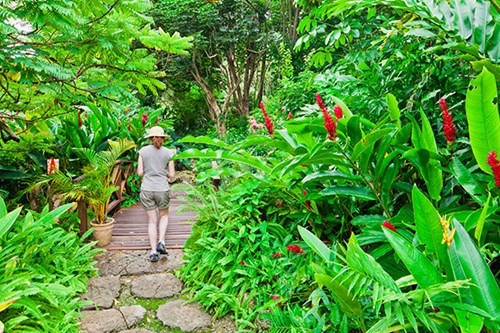 Andromeda Gardens