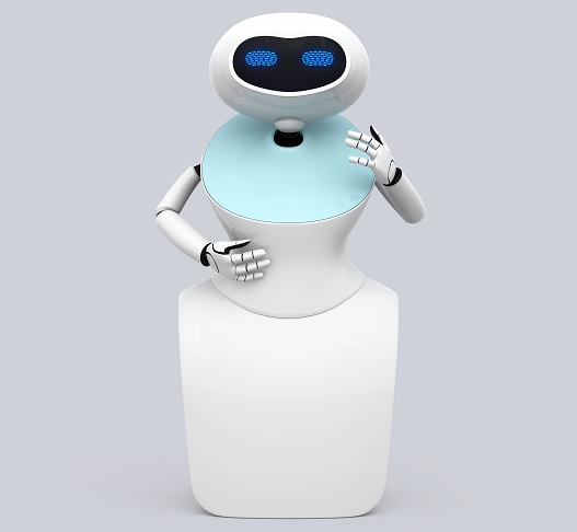 Robot Butler