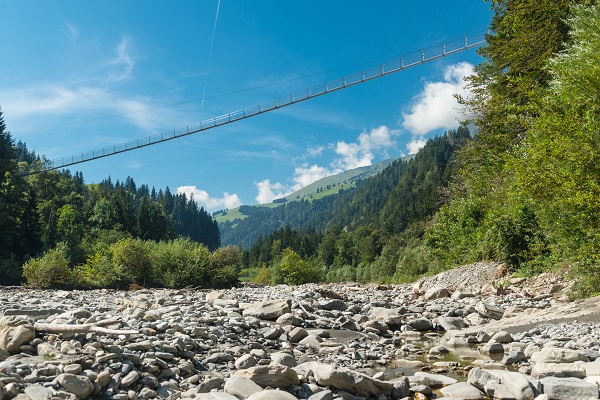 Suspension Bridge Swiss Alps