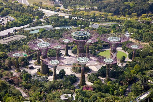 Gardens by the Bay