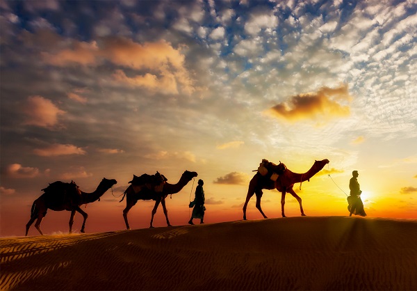 Desert