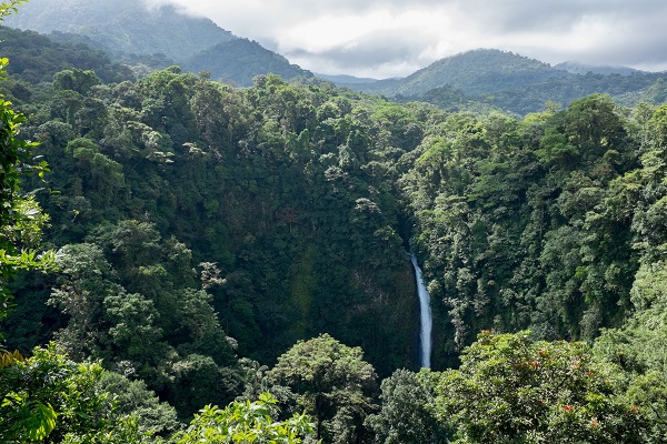 Monteverde Cloud Forest