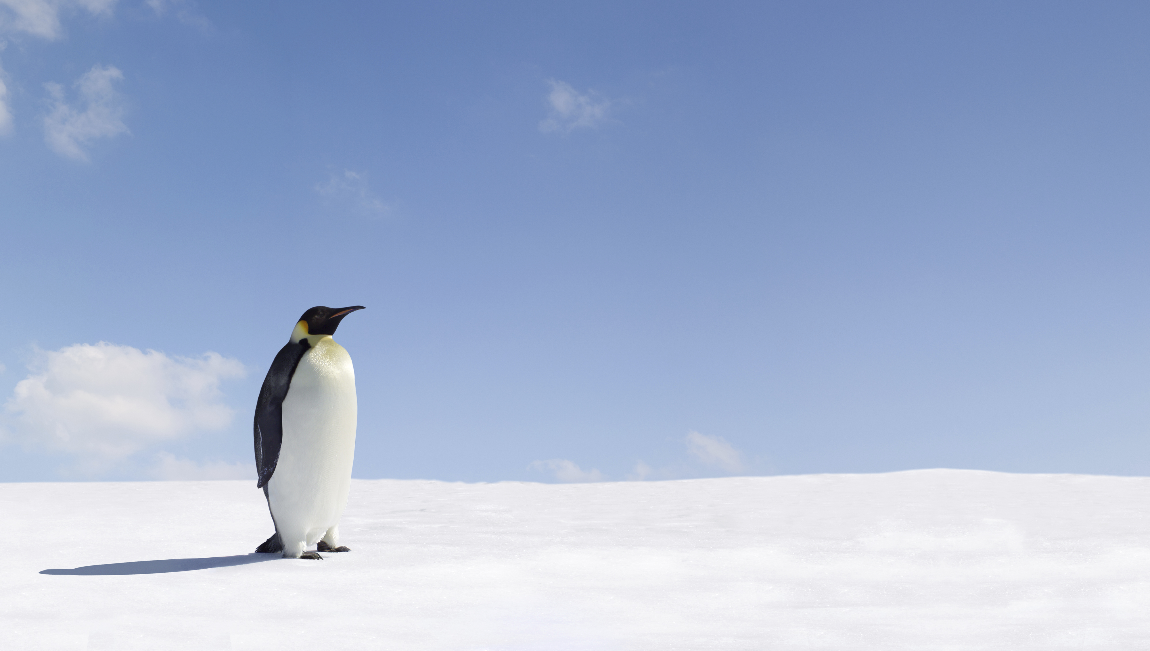 Antarctica